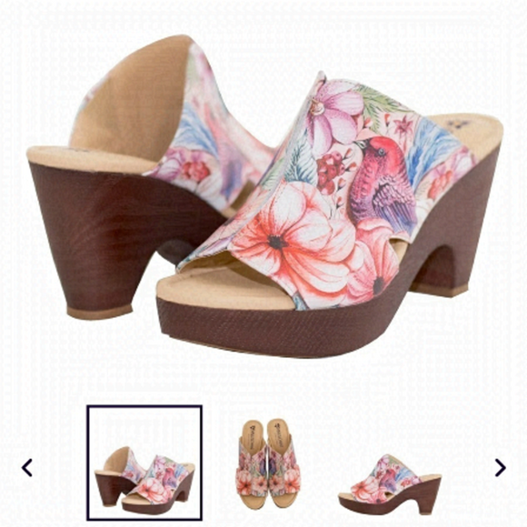 Host Pick Anuschka Women’s Vintage Garden Women Leather Platform Slide Size 9 - Picture 1 of 6